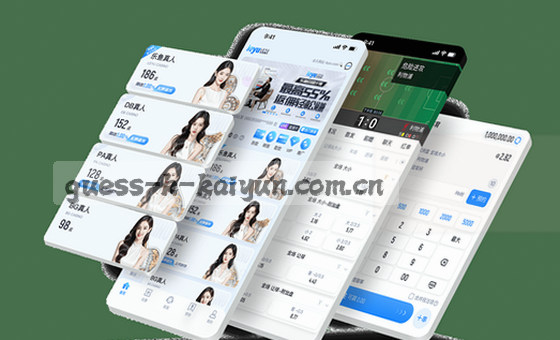 卡片2内容解析,精炼概括核心
